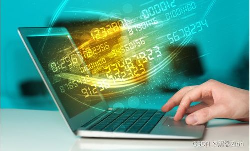 計算機安全技術 多元就業方向與廣闊發展前景